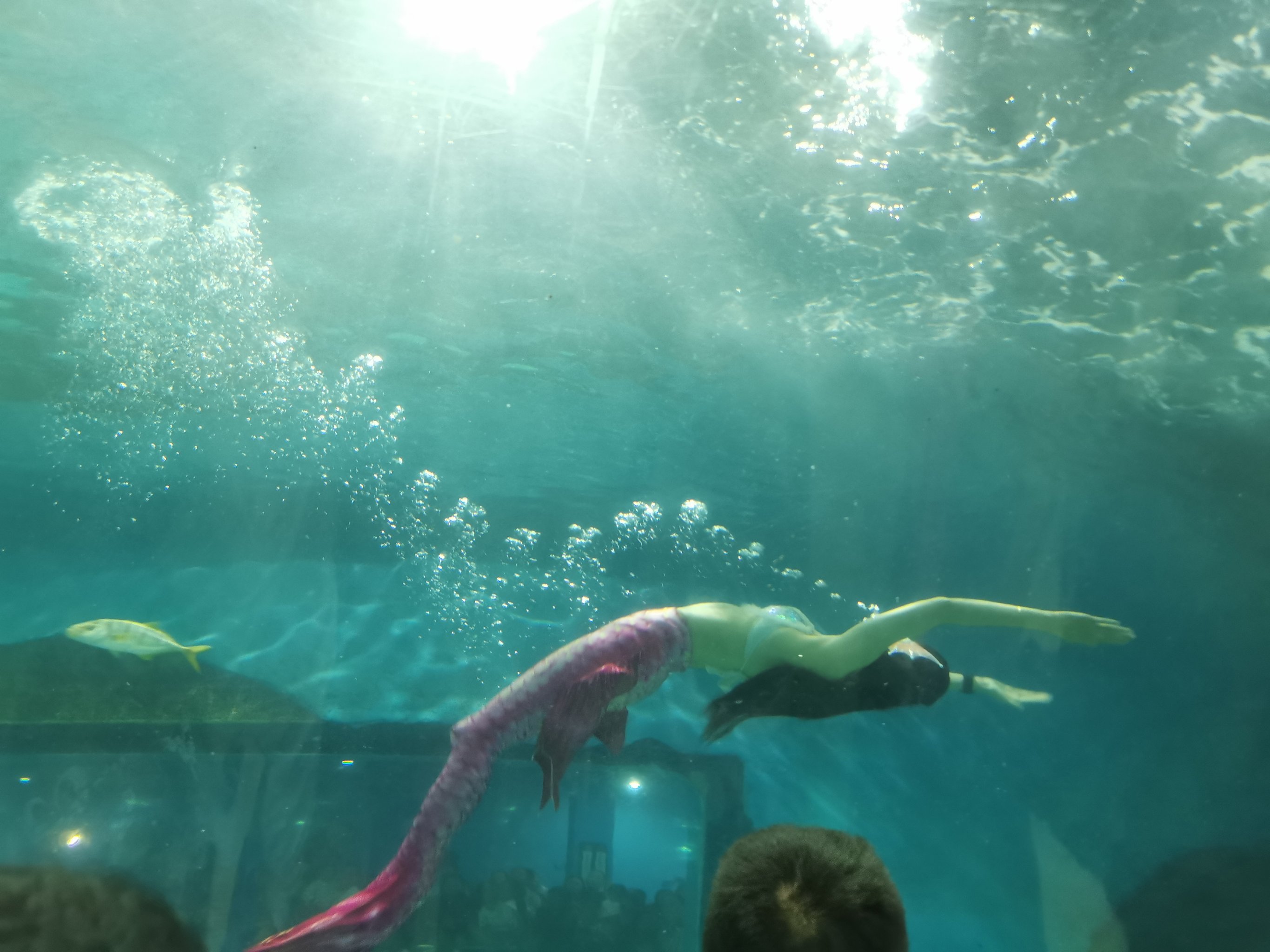 详细阅读:星空体育入口-水底漫步体验,探索奇妙的海底世界 星空体育入口-水底漫步体验,探索奇妙的海底世界