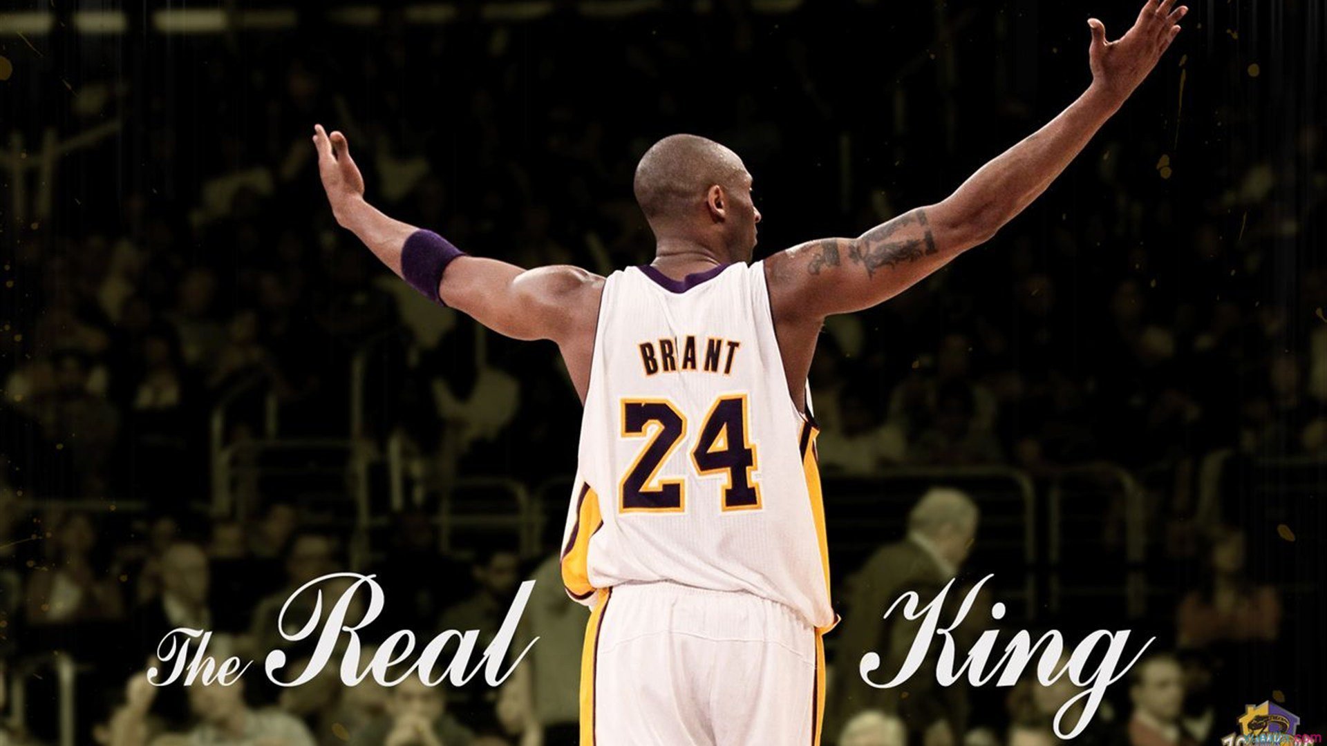 星空体育登录入口-【新手教程】零基础学会比赛中的基本攻防策略,论述在比赛中如何才能有效的攻击2-3区域联防