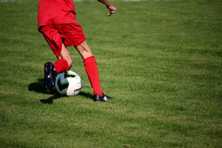 星空体育app-NBA联盟裁判员判罚标准化体系建设,nba裁判法